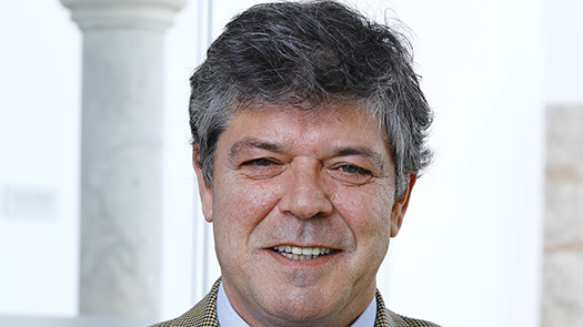 Prof. Doutor Nuno Trigueiros
