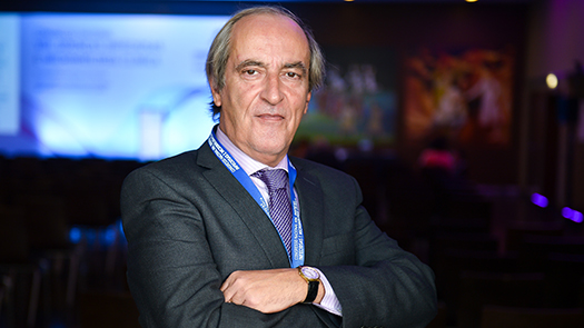 Prof. Doutor Fernando Maltez